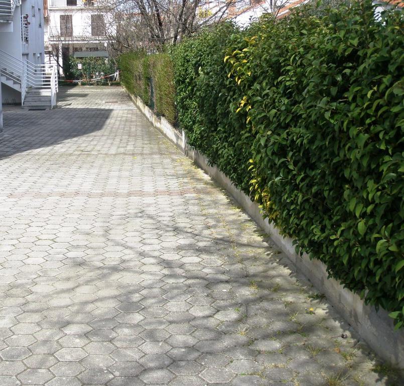 Apartment Venus 13 Rovinj Zewnętrze zdjęcie