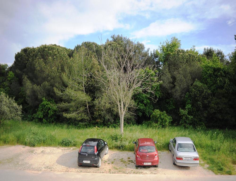 Apartment Venus 13 Rovinj Zewnętrze zdjęcie